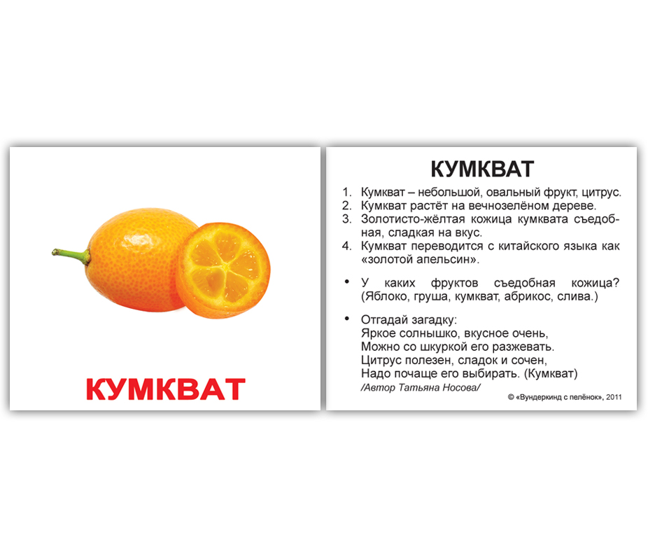 НОК Фрукты мини - 40 шт