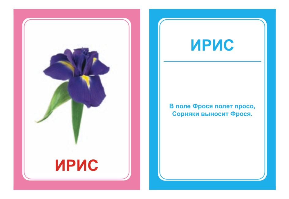 НОК Логопедка 