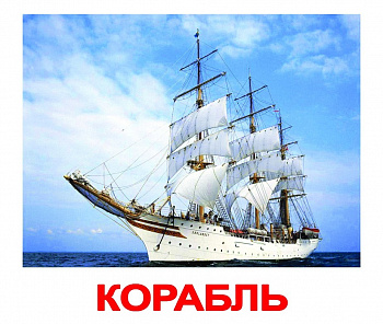 Вундеркинд с пелёнок. НОК с фактами Транспорт 16,5*19,5 / 20 шт