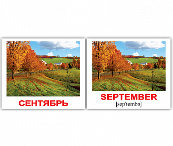 Вундеркинд с пелёнок. НОК мини Calendar/Календарь 8*10 / 40 шт