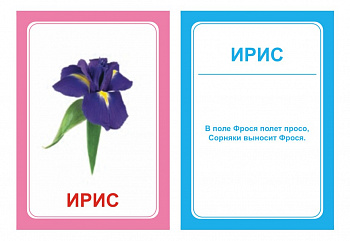 Вундеркинд с пелёнок. НОК "Логопедка "С" 7*10 / 30 шт