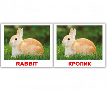 Вундеркинд с пелёнок. НОК мини Domestic animalsl/Домашние животные 8*10 / 40 шт